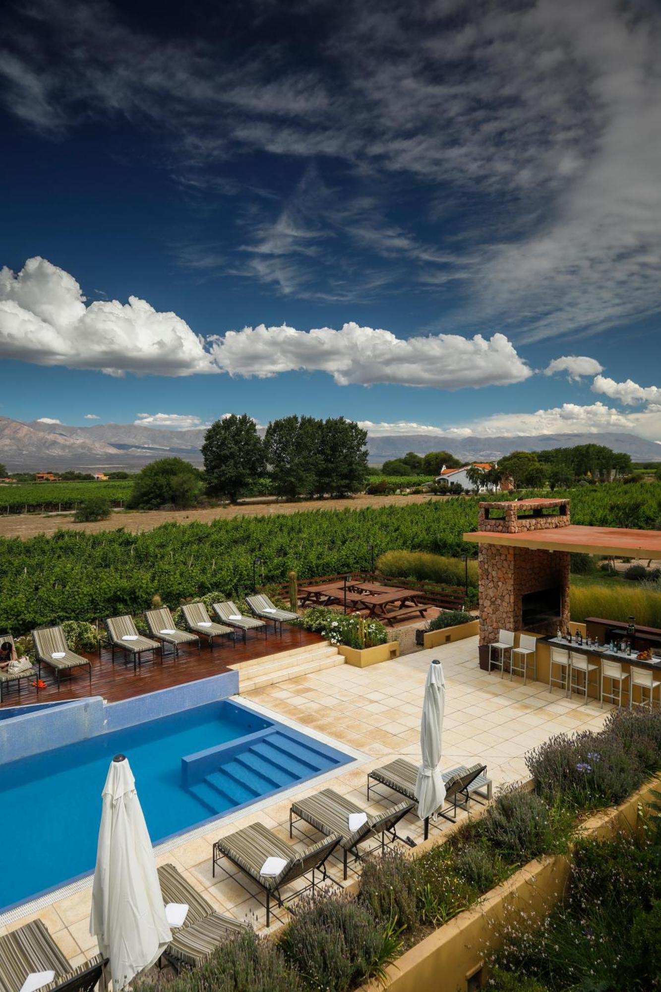 Hotel Grace Cafayate Zewnętrze zdjęcie A vineyard in the Uco Valley